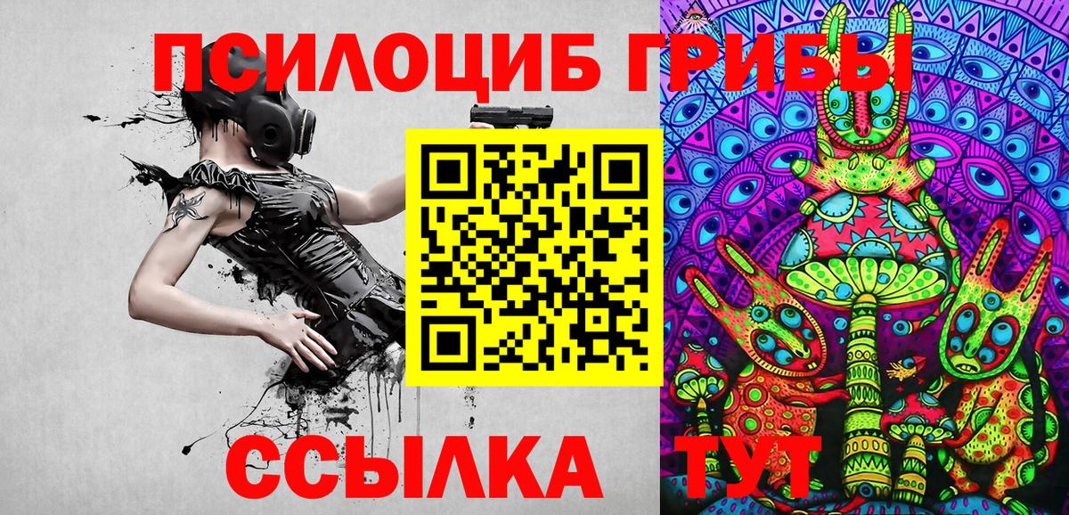 как найти закладки  Псилоцибиновые грибы прущие грибы  Кировск  Вход с VPN  Псилоцибиновые грибы мицелий 